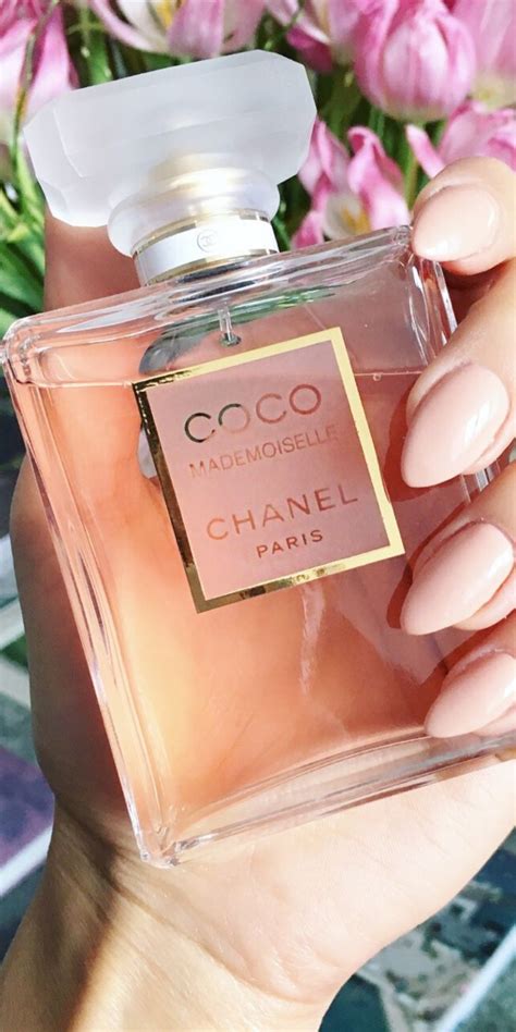 i profumi di chanel|Chanel coco perfume best price.